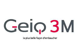 Geiq 3M, formation