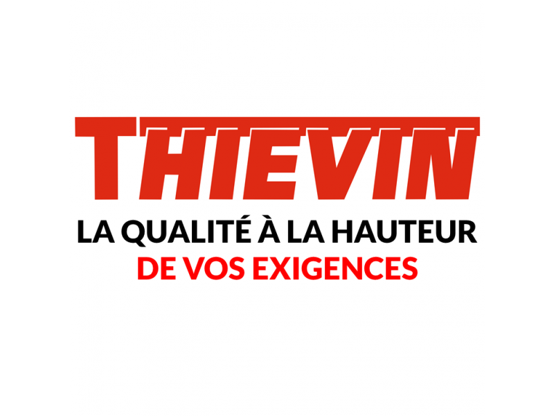Thievin